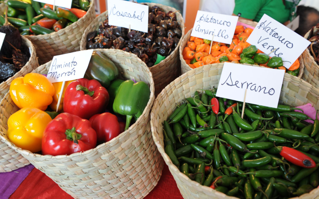 RIETI, CAPITALE MONDIALE DEL PEPERONCINO