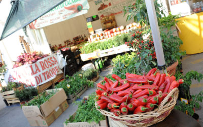 UNA NUOVA ERA PER IL PEPERONCINO ITALIANO