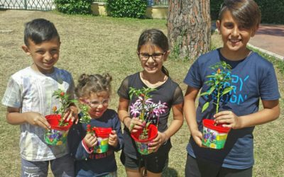 “Adotta un Peperoncino”: piantine gratuite per tutti i bambini