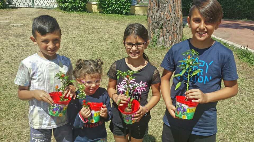 “Adotta un Peperoncino”: piantine gratuite per tutti i bambini