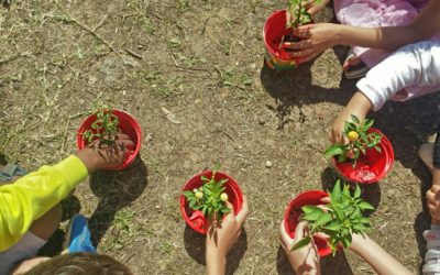 Visita gratuita per i bambini al Campo Catalogo