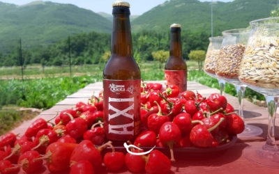 Arriva “AXI”, la birra al Peperoncino Sabino del birrificio “Alta Quota”!