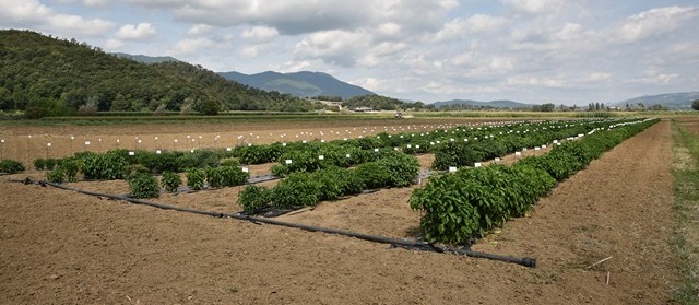 L’Open Day al Campo Catalogo rinviato a sabato 8 ottobre causa maltempo