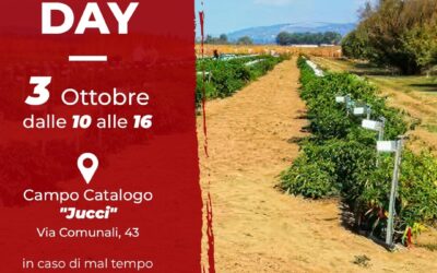 Dopo il successo della Fiera Mondiale, l’Accademia del Peperoncino – Delegazione Rieti 2.0 apre le porte del Campo Catalogo “Jucci”